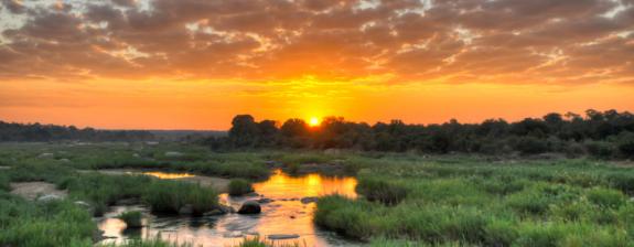 Voyage au Mozambique - A la Découverte du Sud Mozambique et du Parc Kruger