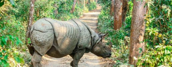 Voyage au Népal - En famille au Népal