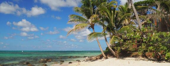 Voyage au Nicaragua - Les iles du Nicaragua