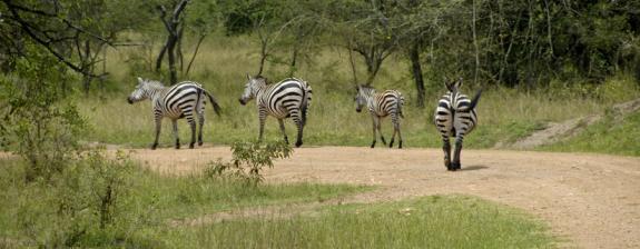 Voyage en Ouganda - Aventures en Ouganda