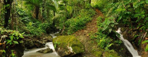 Voyage au Panama - Le Darién Exubérant