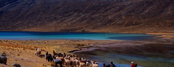 Circuit au Pérou - Traversée Pariacaca et Yauyos
