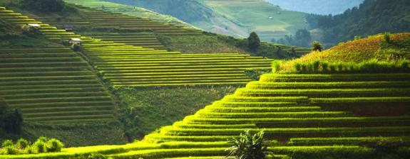 Voyage aux Philippines - Ephémère Ifugao