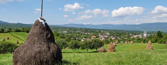 Voyage en Roumanie - Culture et Nature