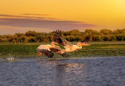 Delta Danube Voyage en Roumanie - Séjour dans le Delta du Danube