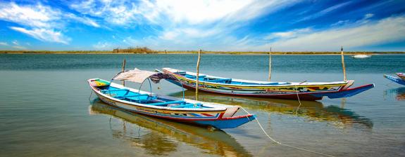 Voyage au Sénégal - La Magie du Sine Saloum