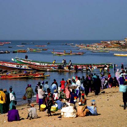 Voyage au Sénégal : Les Merveilles de la Teranga