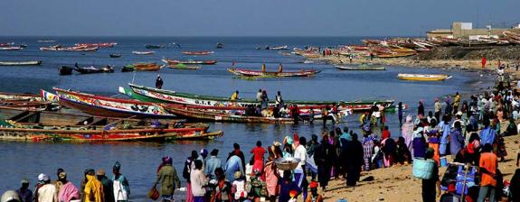 Voyage au Sénégal : Les Merveilles de la Teranga