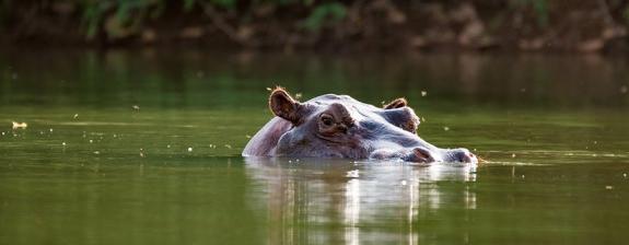 Voyage au Sénégal - Vers le Pays Bedik & Bassari