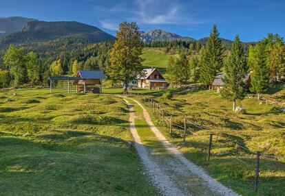 Prairie alpine Uskovnica et Bohinj Voyage en Slovénie - Découverte des Alpes Juliennes de Bled à Bohinj