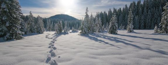 Voyage en Slovénie - Séjour Raquette et Photo