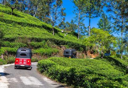 Voyage au Sri Lanka - Chic et charme Sri Lankais