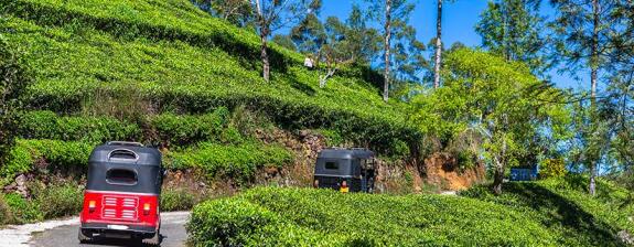 Voyage au Sri Lanka - Chic et charme Sri Lankais