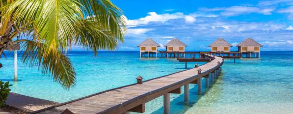 Voyage au Sri Lanka - Entre Ceylan et Maldives