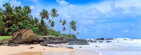 Voyage au Sri Lanka - Les Classiques du Sri Lanka en Hiver