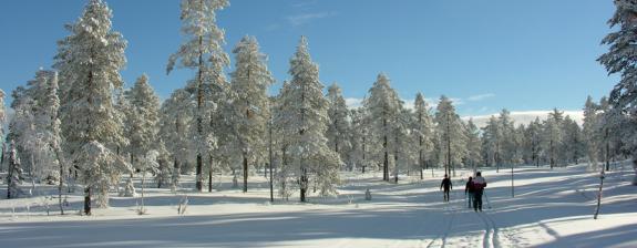 Voyage en Suède - Ski Nordique en Laponie Suédoise