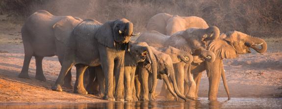Safari en Tanzanie - Les Perles du Sud Tanzanien, Selous et Ruaha