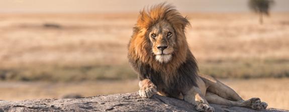 Voyage en Tanzanie - Camping en Tanzanie du Nord