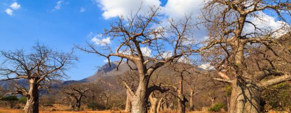 Safari en Tanzanie - Trésors et Tribus de Tanzanie