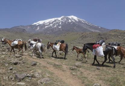 Le Mont Ararat & les bords de la Mer Noire