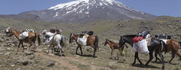 Voyage en Turquie - Le Mont Ararat & les bords de la Mer Noire