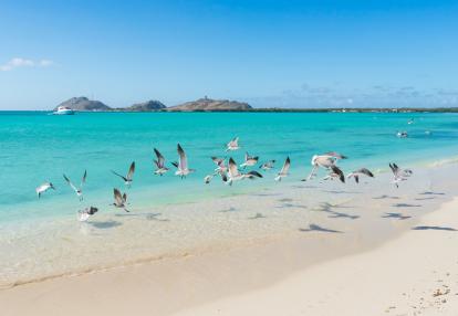 Los Roques - Francisqui island Voyage au Venezuela - Séjour dans l'Archipel Los Roques