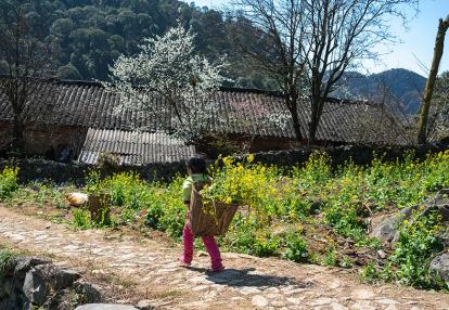 Hmong Voyage au Vietnam - Trek et Rencontres au cœur des Minorités du Haut Tonkin