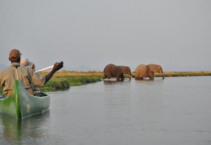 Zambezi Sands Voyage au Zimbabwe - Voyage entre amis « Des Safaris Autrement »