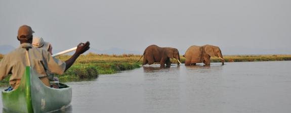 Voyage au Zimbabwe - Voyage entre amis « Des Safaris Autrement »