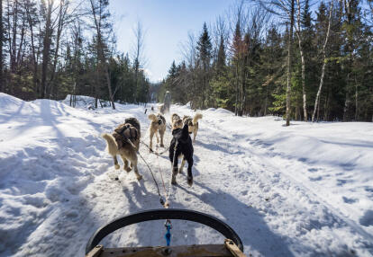 Voyage au Canada - Aventures en famille sous la neige au Québec
