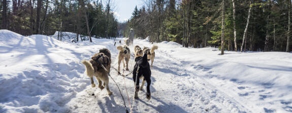 Voyage au Canada - Aventures en famille sous la neige au Québec