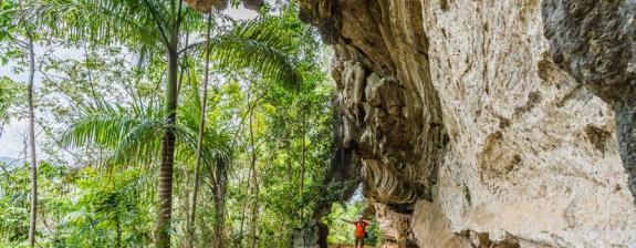 Voyage à Cuba - Randonnée Cubaine