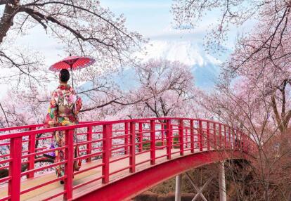 Voyage au Japon - Quand Fleurissent les Cerisiers