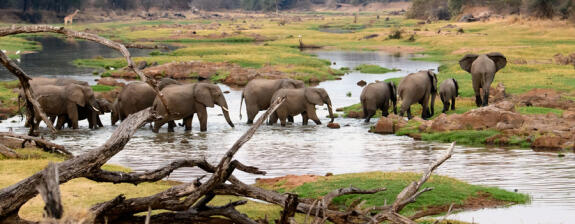 Voyage en Tanzanie Les Grands Parcs du Sud Tanzanien
