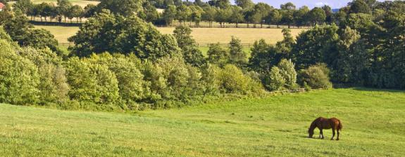 Voyage en Normandie - Les Plages du Débarquement et le Bocage Normand