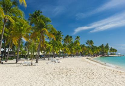 Voyage en Guadeloupe - Romance Créole