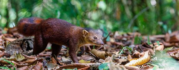 Voyage à Madagascar - Evasion Malgache