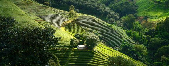 Voyage en Thaïlande - A la Découverte des Perles du Nord
