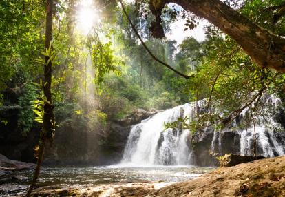 Khao Yai NP Voyage en Thaïlande - Immersion en Famille au Pays du Sourire