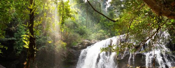Voyage en Thaïlande - Immersion en Famille au Pays du Sourire