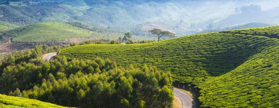 Voyage en Inde - Les splendeurs de Grand Sud