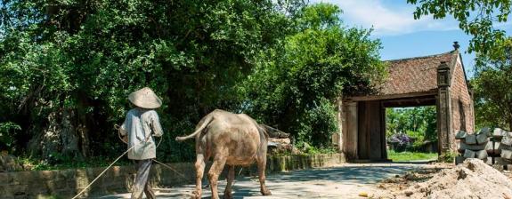 Voyage au Vietnam - Entre Terre et Mer