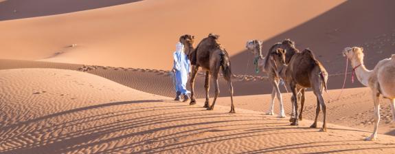 Voyage au Maroc - Magie du Désert Hors Sentiers Battus