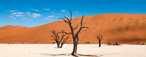 Voyage de Noce en Namibie