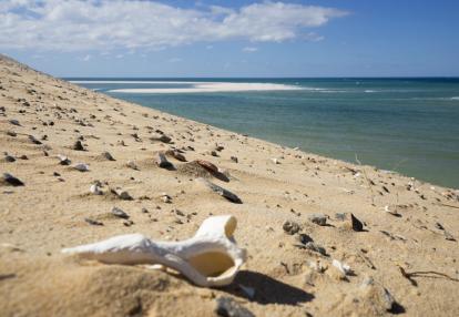 Bazaruto Voyage au Mozambique - Merveilles du Sud