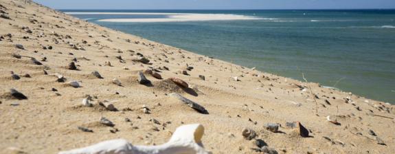 Voyage au Mozambique - Merveilles du Sud