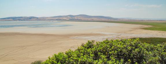 Voyage en Tunisie - La Tunisie Verte