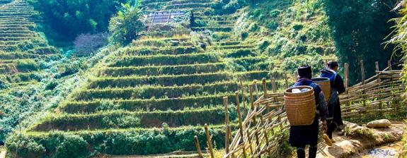 Voyage au Vietnam - Trek dans le Nord, Rizières et Villages Ethniques