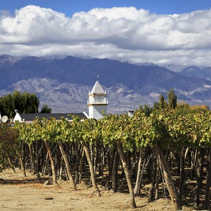 Voyage en Argentine - Culture Andine et Vignobles d'altitude