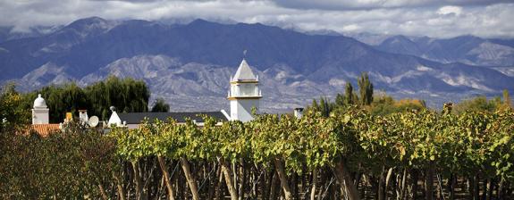 Voyage en Argentine - Culture Andine et Vignobles d'altitude